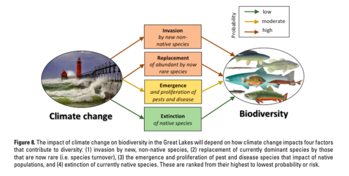 An Assessment of the Impacts of Climate Change on the Great Lakes ...