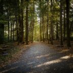 State park